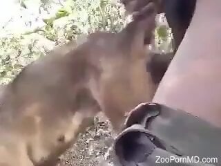 Dude using his gorgeous cock to fuck a twisted dog